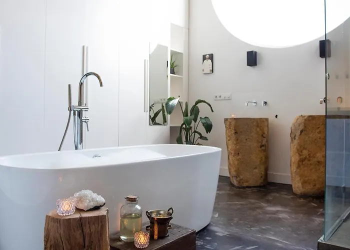 Het Lichthuis 아파트 잔드보르트