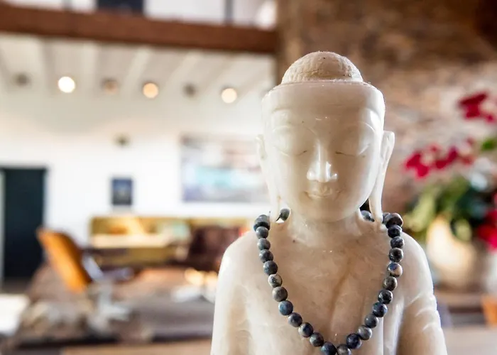 Het Lichthuis 잔드보르트